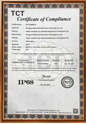 Сертификат сертификации